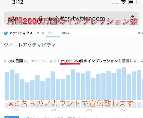 Twitterの日本人フォロワー千人以上増やします 日本人のアクティブ フォロワーを増やします。 イメージ2