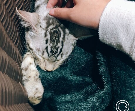 今、誰かと話したいを叶えます お気軽にご連絡ください*ଘ(੭*ˊᵕˋ)੭* ੈ✩‧₊˚ イメージ2