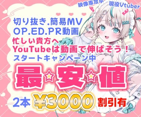 最安値！バズる動画作ります イメージ1