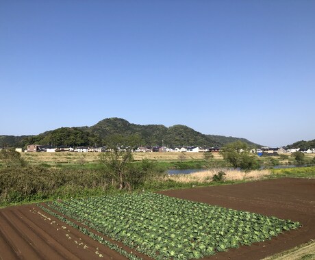 身体の不調　心の悩み　元看護師が何でも聴きます きっと心も身体も軽くなります！ イメージ1