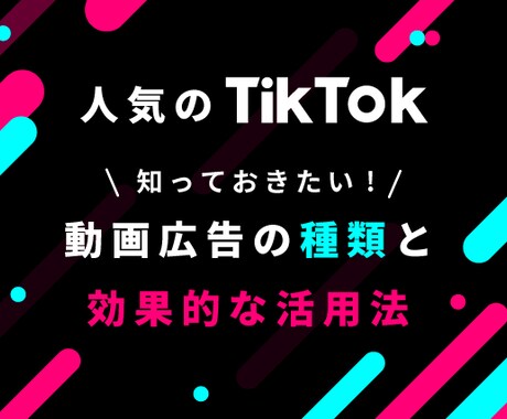 TikTokの運用型広告設定サポートいたします Tiktok広告とはといった概要のご説明から設定までフォロー イメージ1