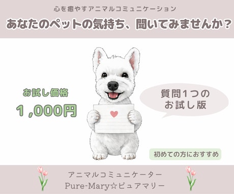お試し版★アニマルコミュニケーションします ★ペットの気持ちをやさしくお伝えします イメージ1