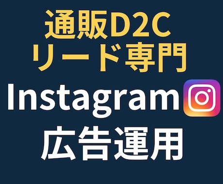 通販・リード専門！Instagram広告運用します 【実績50社超】目標CPA1/2・CV数250%成長！ イメージ1