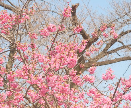 うまく言葉にできない悩み、やさしく整理します 「なんかモヤモヤ」を一緒に言葉にします。一歩踏み出したい方へ イメージ2