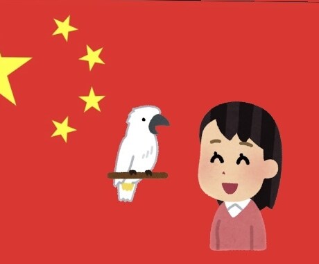 中国語発音矯正いたします 日中ハーフによる中国語の発音矯正&日常会話！ イメージ1