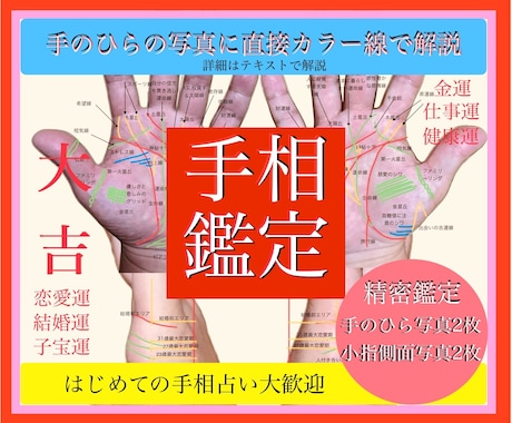 く究極の手相鑑定〉細かい線も徹底的に鑑定します 写真4枚解説、恋愛、仕事、子宝、金運、健康運を占います。