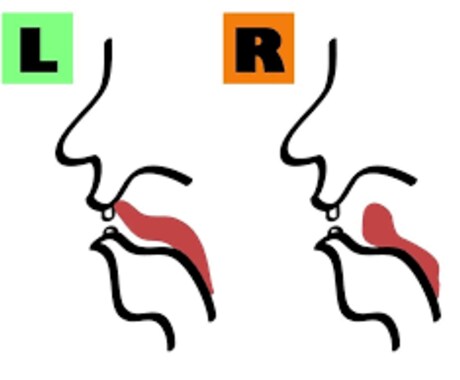 もう聞き返されない！LとRの発音矯正します ハワイ大修士が言語習得の理論で教える、独自の最短改善メソッド イメージ1