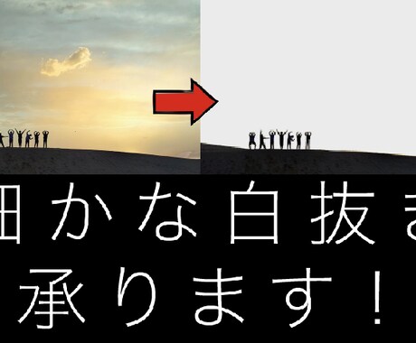 1~10枚　画像の白抜きをいたします とても細かい白抜きでも対応できます！ イメージ1