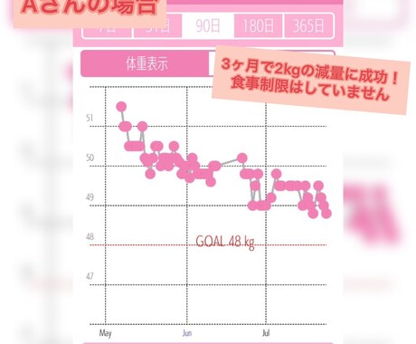 着実に痩せるあなた専用のダイエット計画作ります あなたの生活に合わせた無理のないダイエット計画を提供します。 イメージ2