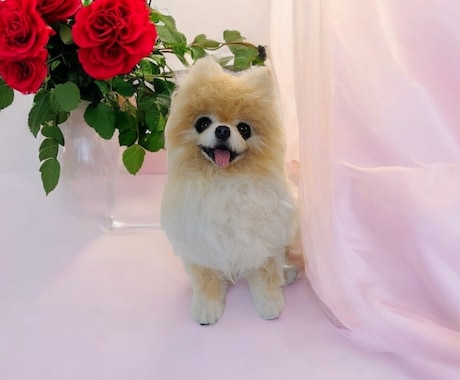 大切な愛犬さんをお作りします イメージ1