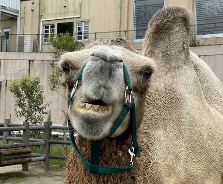 ここだけの恋のお悩み☁️ご相談おまちしております 恋の悩みはお任せあれあなたの心の悩みにズームイン!!! イメージ2