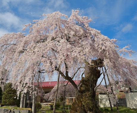 栃木（日光市）の観光・おでかけをサポートします 日光や鬼怒川の観光、旅をする方。出張やテレワークの方。 イメージ1