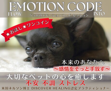 ペット囚われた感情★ワンコイン★でやさしく整えます ペットの心を癒します❤︎ネルソン博士のエモーションコード イメージ1