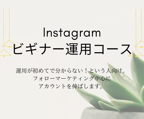 Instagramの運用承ります 初めての運用される方向けのコースです。 イメージ1