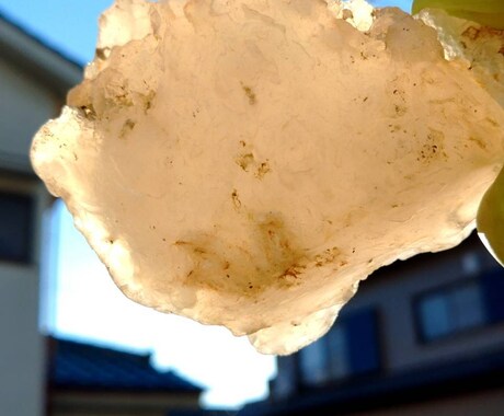 忙しい貴方に代わり、カルセドニー玉髄拾いに行きます 原石から物作りしたい方、原石が好きな方、ご利用ください。 イメージ2