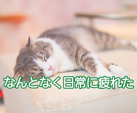 スナック嬢があなたの元気を最大にアゲます くだらない話し等会話を楽しみながら、自然と元気になれちゃう！ イメージ2