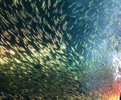 愚痴や雑談などの話お聴きします お気軽に1分からでも⭐️お友達感覚でおしゃべりしましょう♪ イメージ2