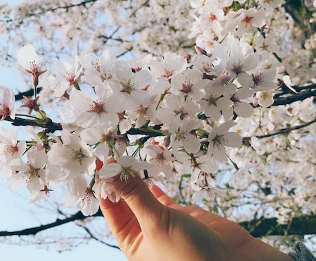 看護学生さんの実習サポートします 実習で困っていると、悩んでいることなんでも相談してください☆ イメージ1