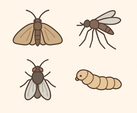 元農家がお家・畑などの「虫」解説します 画像を見て虫の種類、危険度、対処法を考えます！ イメージ2