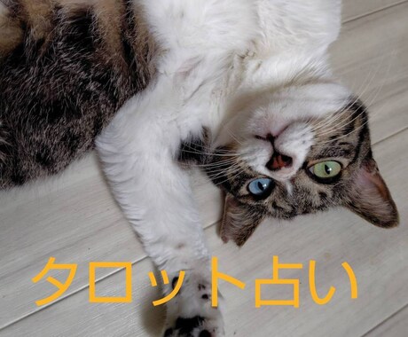 旨口☆奥深く占います じっくりお話したい方におすすめです(深夜早朝も対応) イメージ2
