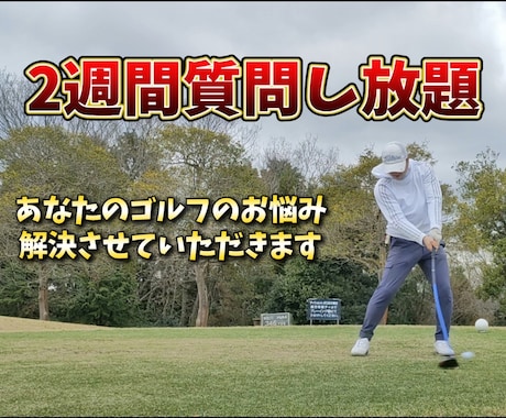 2週間集中オンラインレッスンさせていただきます 毎日質問し放題、動画送り放題で劇的上達 イメージ1