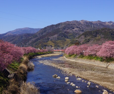 ご依頼者様の満足する旅行プランをご提案いたします 47都道府県回った経験で、年代・予算等に合わせた旅行をご提案 イメージ2