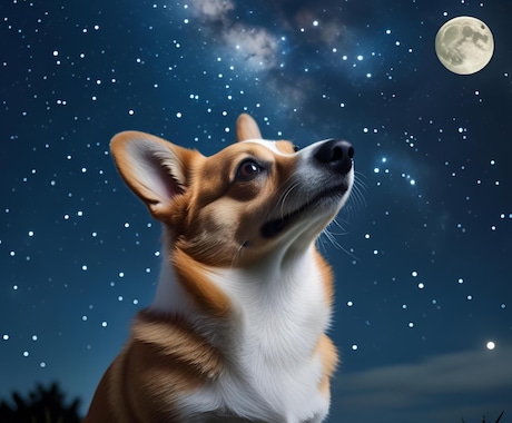 ワンコインであなたを鑑定をします ホロスコープから、あなたの説明書を送ります。 イメージ1