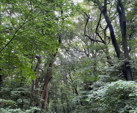 生きづらくて悩んでいる人の力になります 人生は自分らしく楽しく生きよう イメージ1