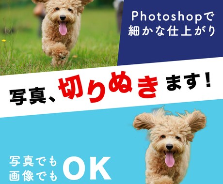 写真の切り抜きいたします Photoshop使用、丁寧に切り抜きします！ イメージ1
