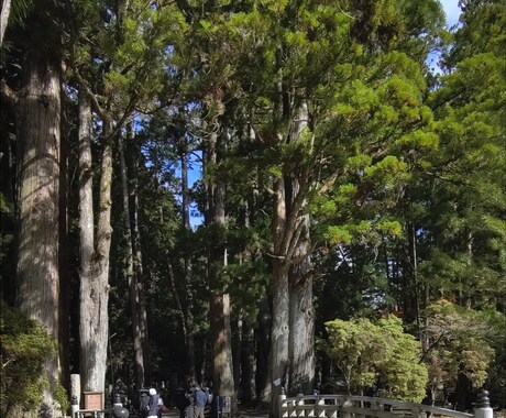 来年のあなたの運勢を宿曜占星術で読み解きます 宿曜占星術で来年の運気の流れを知って活かしたい方にお勧めです イメージ1