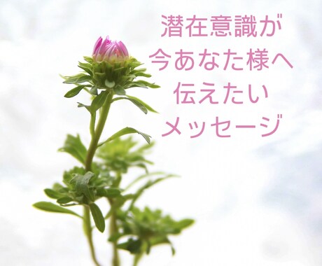 潜在意識からのメッセージを聞くお手伝いをします 今の貴方様へ伝えたいメッセージを確認しましょう イメージ1