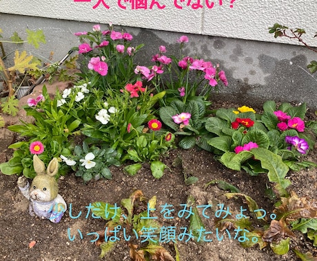 一人で悩んでいませんか。一緒に解決します あなたのために一緒に悩んで笑ったり、泣いたりしたいです。 イメージ2
