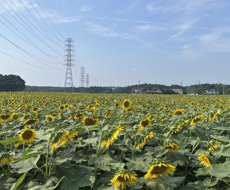 気楽に話せる様、空気作りも致します 接客業10年以上行っており、お客様目線で勤めてました！ イメージ1