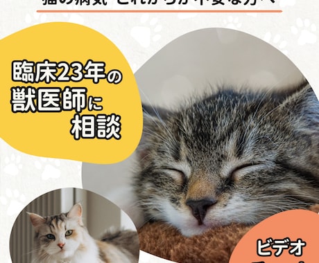 猫の持病とホームケア。ビデオで不安に寄り添います あなたの選択で大丈夫、と言える根拠を一緒に探しましょう イメージ1