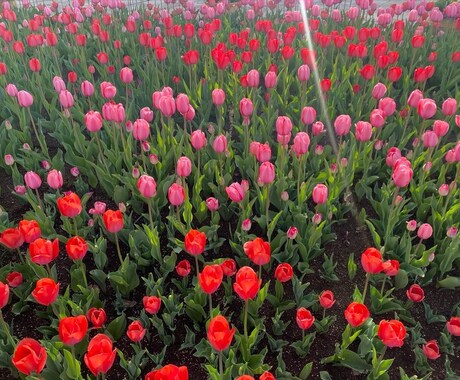 国内旅行のオススメプランご提供いたします 子供連れ家族〜３世代旅行、カップル、記念日なんでもお任せ！ イメージ1