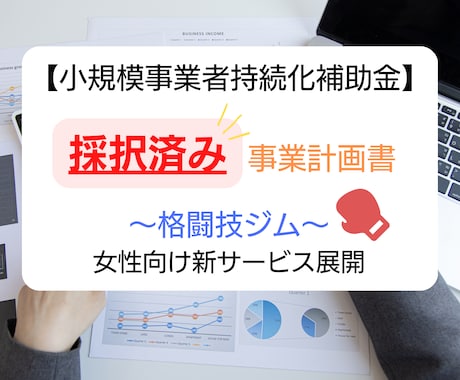 格闘技ジム★持続化補助金採択書類をお譲りします 採択済みの事業計画書を【テンプレート】としても利用できます！ イメージ1