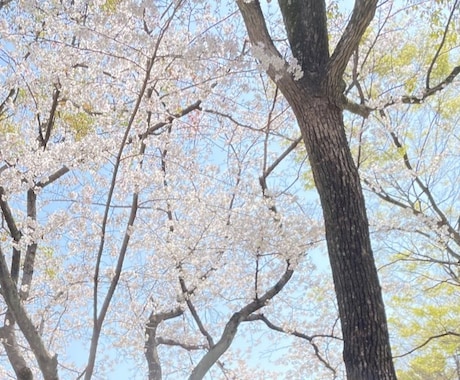 紅守オウカ様専用出品になります ご依頼内容の確認お願いいたします！ イメージ1