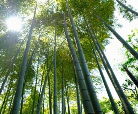 否定しません。全部受け止めます 自分も色々あったからこそ人の話を真剣に聞きます イメージ1