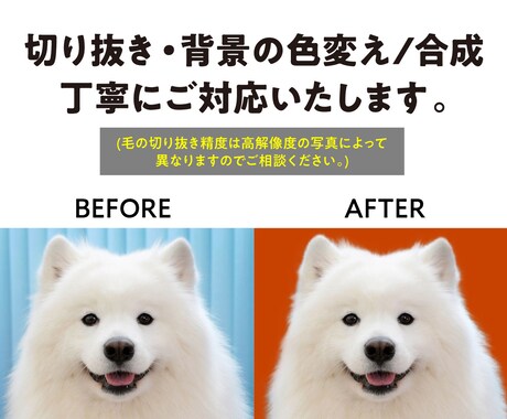 写真加工・切り抜き・画像のレタッチ承ります 背景透過/白抜き/切り抜き/合成/なんでもご相談ください！ イメージ2