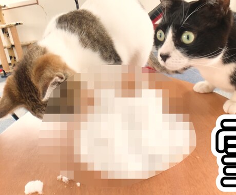 低価格で動画編集、サムネイル作成させて頂きます なるべく低コストで動画編集をして欲しい方へ！ イメージ2