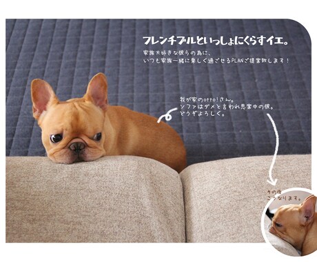 フレンチブルドッグと暮らす家のPLAN作ります 愛BUHIオーナーの私が一緒に、快適フレブルハウス考えます。 イメージ1