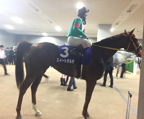 元競馬情報サイトライターがリアルガチなこと教えます 競馬情報サイトを利用しているあなた！裏事情聞いてからにして！ イメージ2