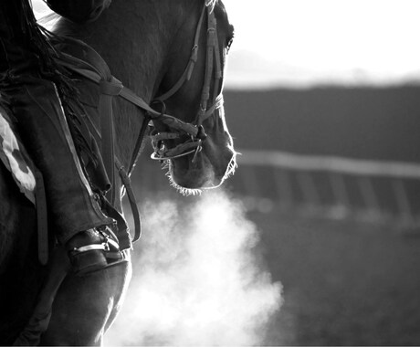 競馬投資法を伝授します まずは回収率をご覧ください！メッセージにて対応します！ イメージ1