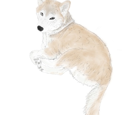 ペットな、線画を描きます うちの子線画。お写真を元にトレイスします イメージ2