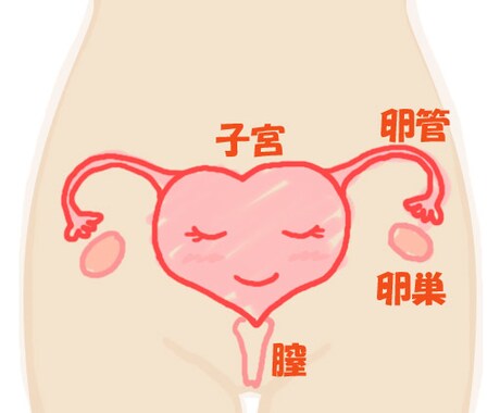 卵巣の病気の経験談話します 右成熟嚢胞奇形種になり手術で卵巣を少しとりました。 イメージ1