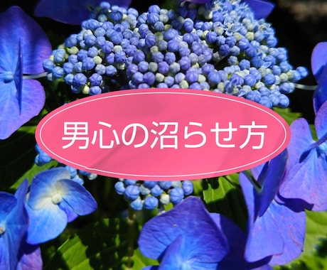 気になる男子の男心教えます 男子の沼らせ方は男子におまかせ。TPOに合わせてアドバイス イメージ1