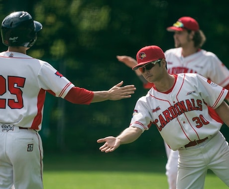 ドイツ野球初の日本人監督がオンラインレッスンします 【日本野球✖︎海外野球】ハイブリットコーチング イメージ1