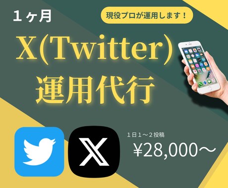 X(Twitter)1ヶ月運用サポートします 現役プロSNSマーケターがアカウントの成長をサポート！ イメージ1