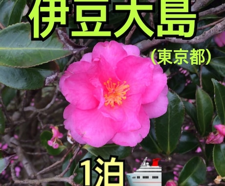 伊豆大島旅行のプランをあなた好みに作ります 自称弾丸旅行のプロが考える、伊豆大島旅行1泊プラン イメージ1
