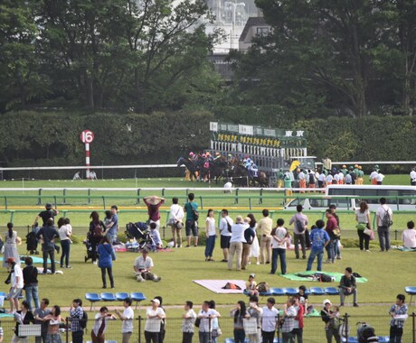 競馬de副業　10月27日天皇秋の予想公開します 明日の競馬の予想にお困りの方必見！4頭ピックアップ！！ イメージ1